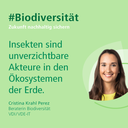 Cristina Krahl-Perez