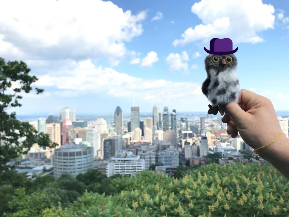 Eule Elinor in Montrea