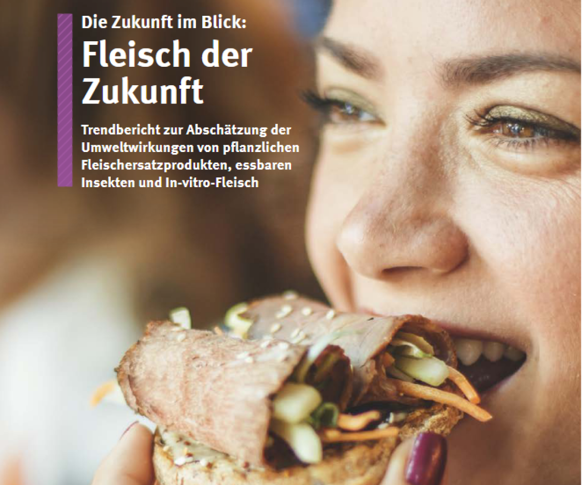 Fleisch der Zukunft