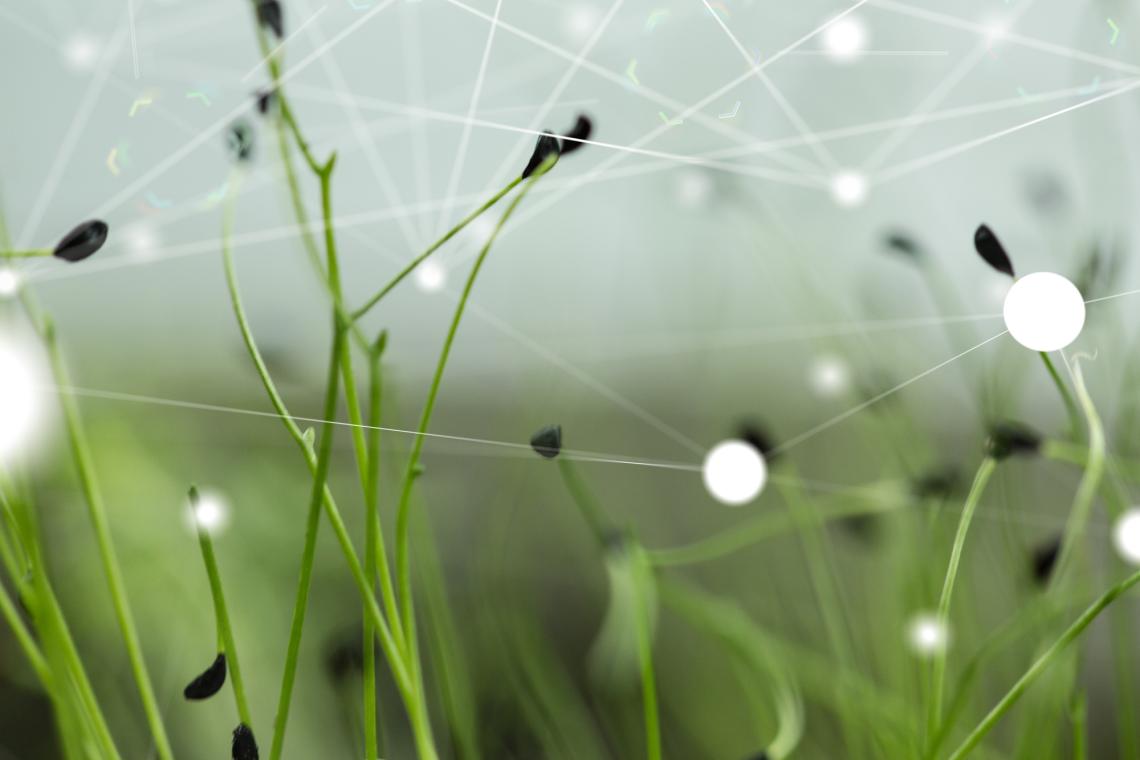 Künstliche Intelligenz Umwelt