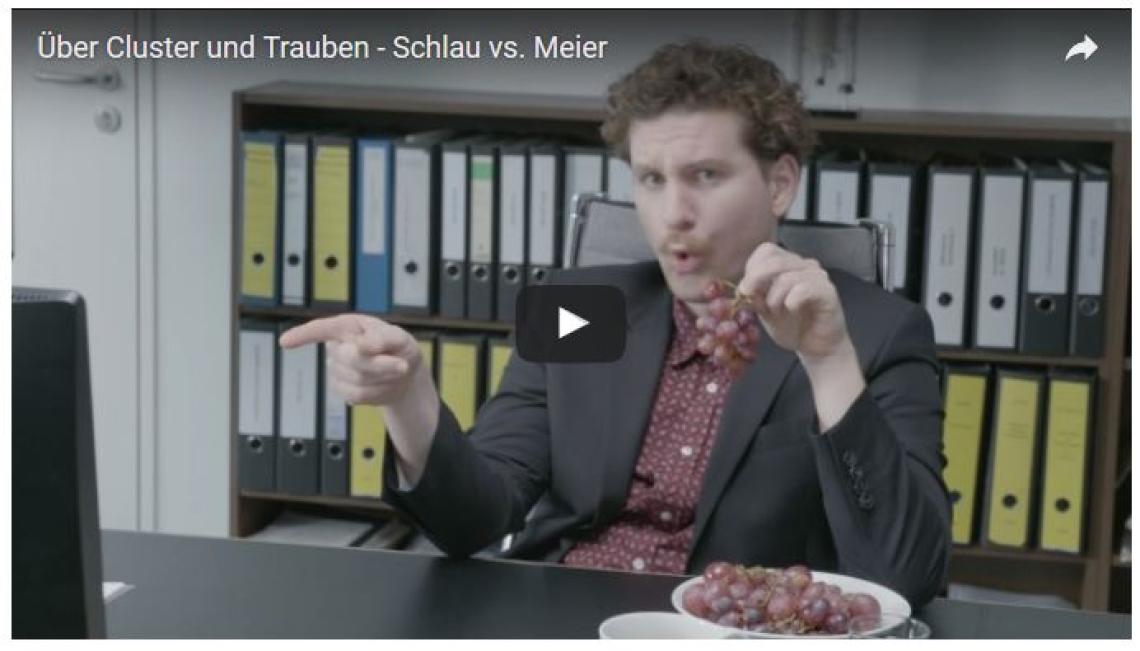Screenshot Film Was ist eine Clusterinitiative?