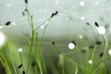 Künstliche Intelligenz Umwelt